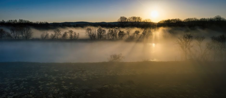 Ranní mlha nad Radbuzou